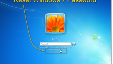 Photo of How to Reset a Windows 7 Password