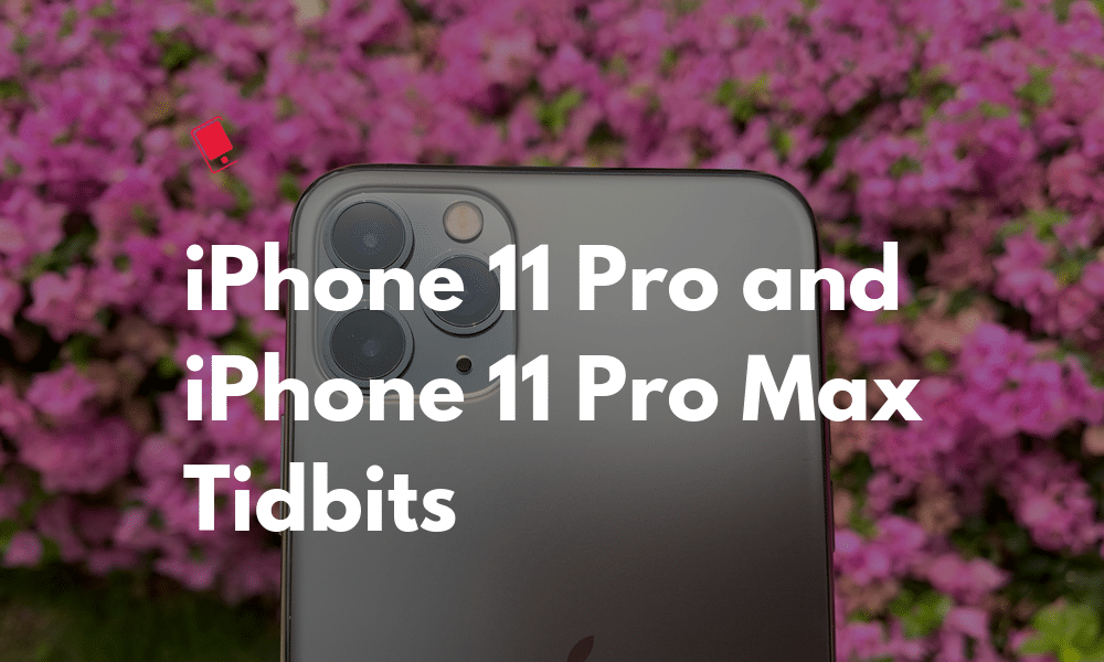 iPhone 11 Pro Max Tidbit</noscript>We probably know everything thing about the new iPhone 11 Pro and iPhone 11 Pro Max, and the teardowns of the new iPhones seem to have revealed the other unknowns such as the amount of RAM and capacity of the battery.<span id=
