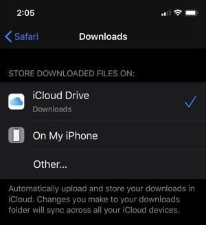 iOS 13 Downloads Folder