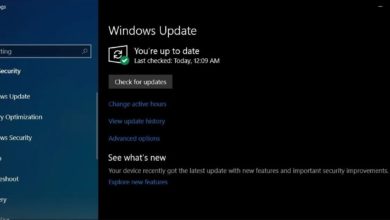 Photo of Windows 10 version 1903 build 18362.295 available with various security fixes