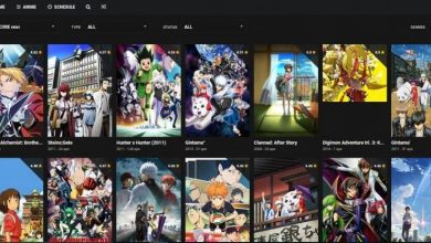 Photo of Top 10 Best MasterAnime Alternatives and Similar Sites in 2024