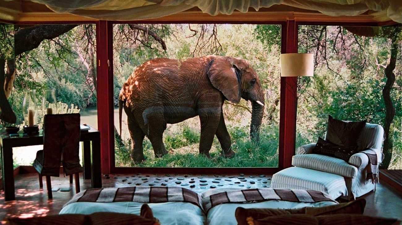 South African Luxury Safari Lodges