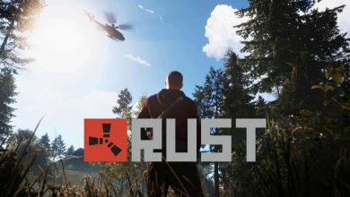 Photo of Beginner’s Guide for Success in Rust