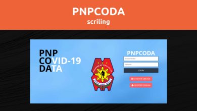 Photo of Pnpcoda || Find out everything there is to know about Pnpcoda