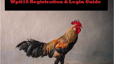 Photo of Wpit18: Registration and Login Guide In 2023