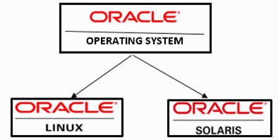 A Full Guide to the Products and Services of Oracle