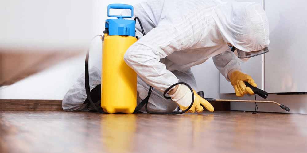 Best Pest Control Services In 2023