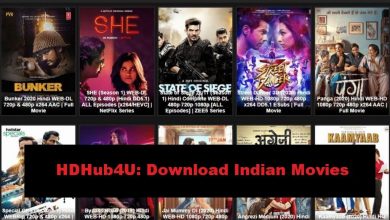 Photo of HDHub4U: Download Bollywood, Tamil, And Telugu Movies