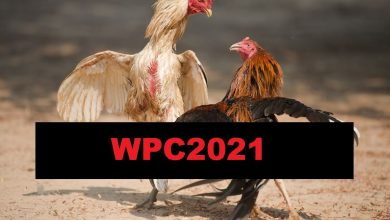 Photo of WPC2021 Live Dashboard: All You Need To Know