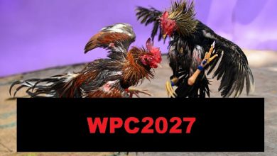 Photo of WPC2027 Review: Features, Login Process & Dashboard