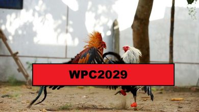 Photo of WPC2029: Signup and Dashboard Login Procedure 2023