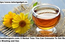 Photo of wellhealthorganic.com: 5 Herbal Teas You Can Consume To Get Relief From Bloating and Gas