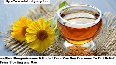 Photo of wellhealthorganic.com: 5 Herbal Teas You Can Consume To Get Relief From Bloating and Gas