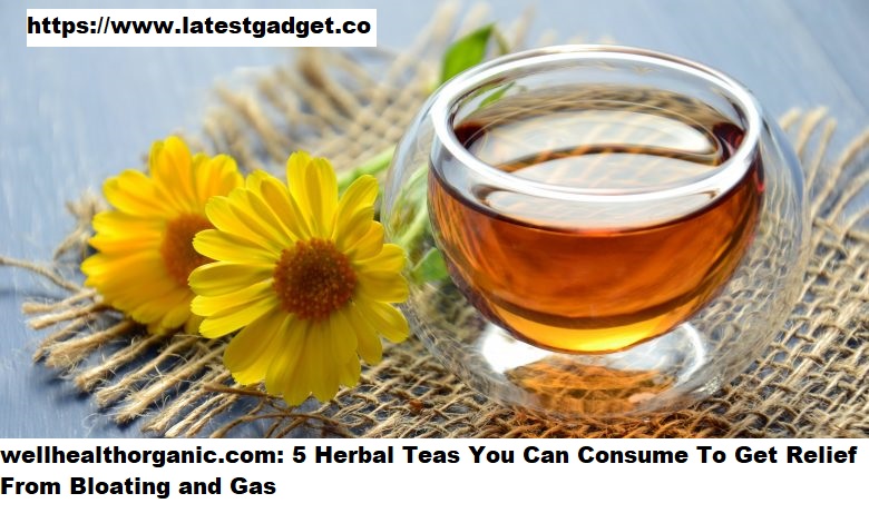 wellhealthorganic.com:5-herbal-teas-you-can-consume-to-get-relief-from-bloating-and-gas