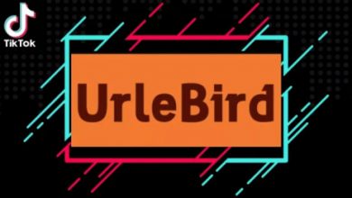Photo of What Is Urlebird? How Does It Work And Is It Safe?