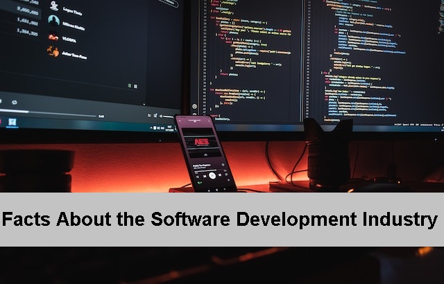 Software Development Industry