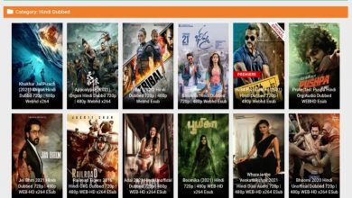 Photo of 1Filmy4wab: Best Site For Watch Free HD Movies (Hollywood And Bollywood)